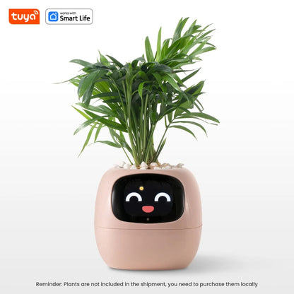 Plant Buddy - The World's First Ai Plant