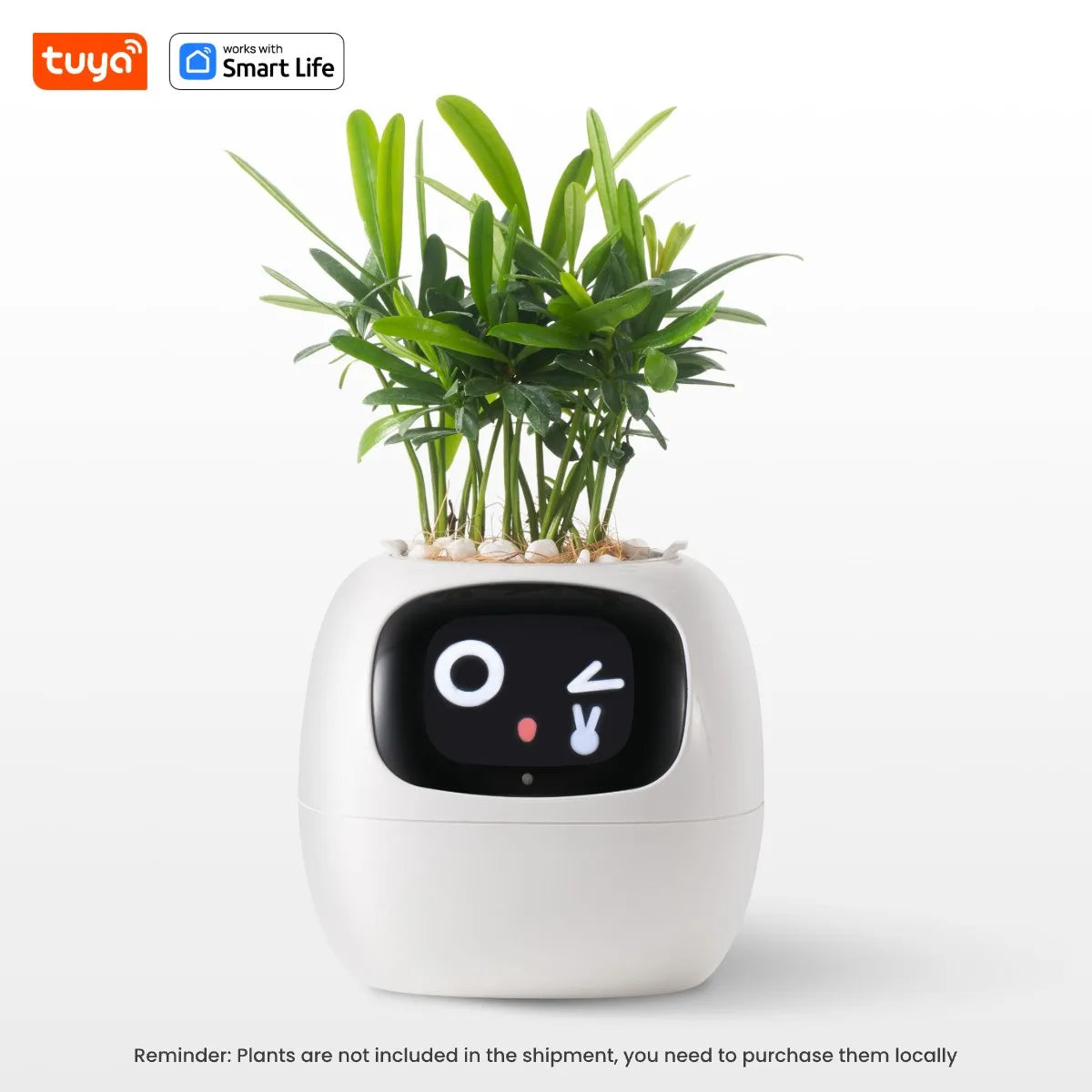 Plant Buddy - The World's First Ai Plant