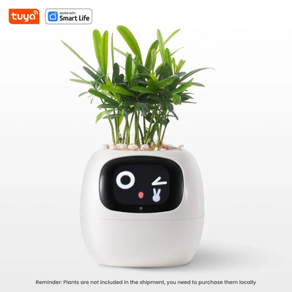 Plant Buddy - The World's First Ai Plant