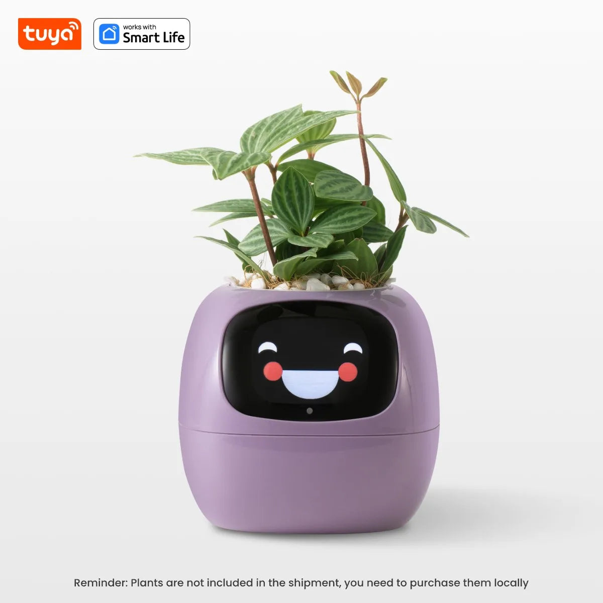 Plant Buddy - The World's First Ai Plant