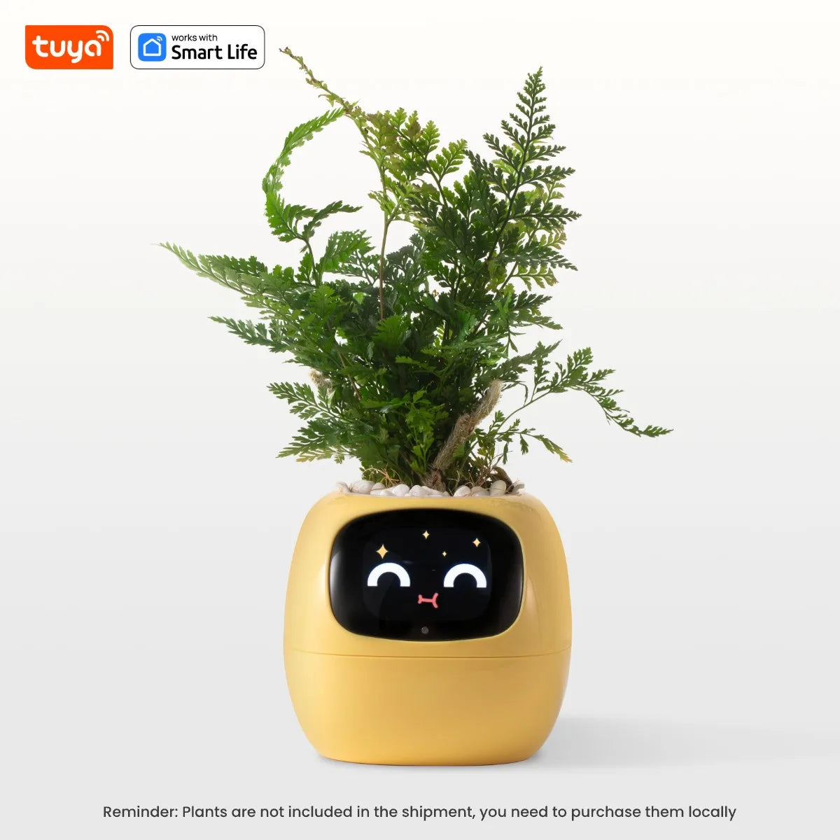 Plant Buddy - The World's First Ai Plant