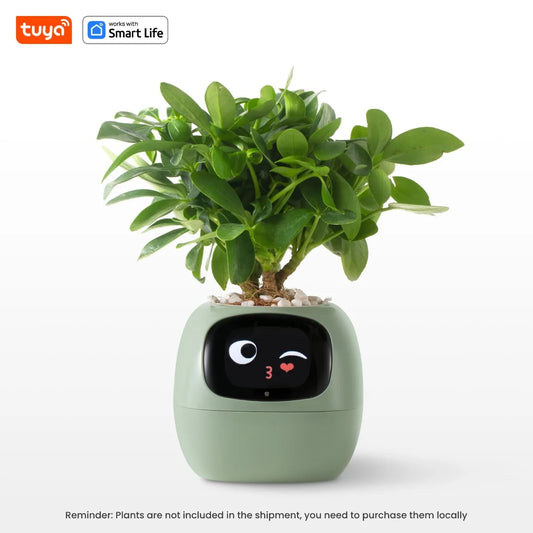Plant Buddy - The World's First Ai Plant